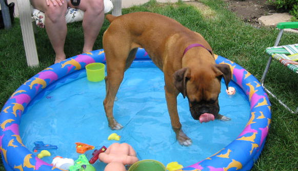 I love the pool!