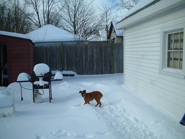 I LOVE the snow