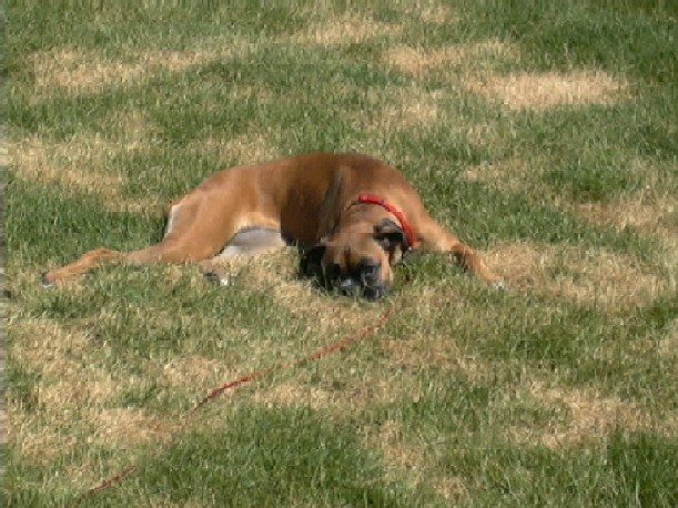 I love the sun!!