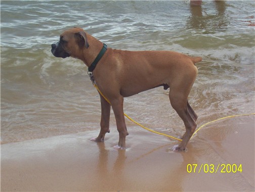 I love the water!