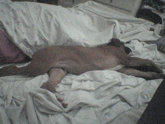 i love this bed!!