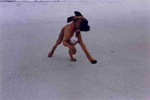 i love to play
