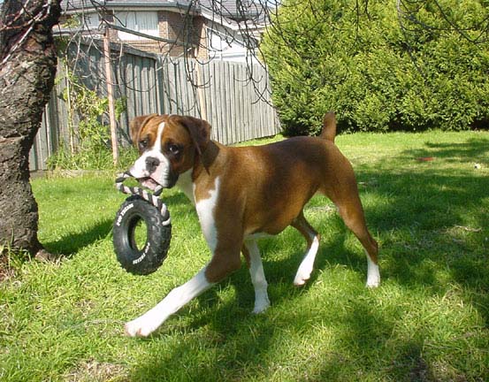 I love to play
