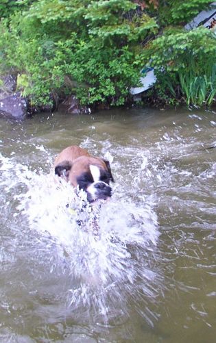 I love water!
