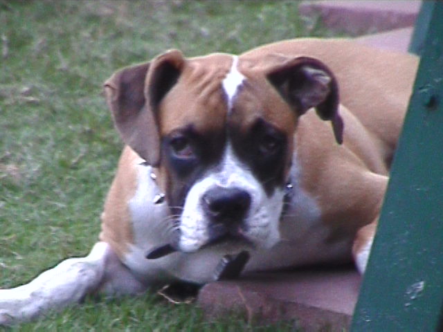 I love you too mommy!