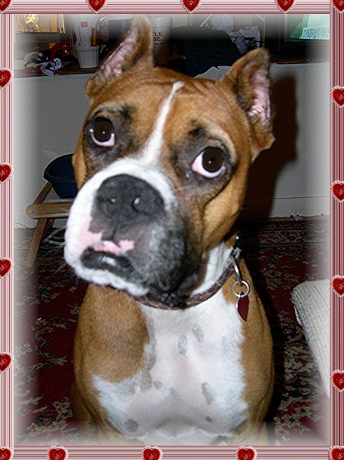 i love you!