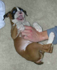 I luv belly rubs!!