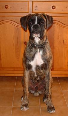 "I`m getting bigger!!"