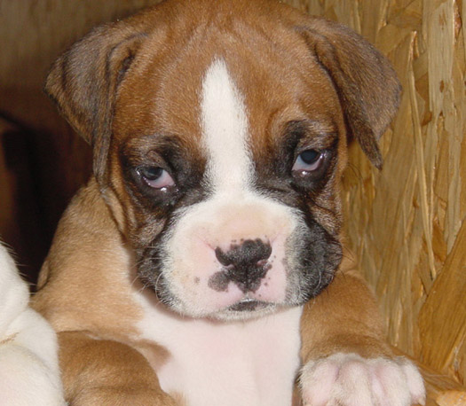 I need a nap!!!!
