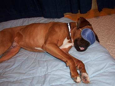 I need a NAP!