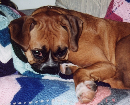 I need my Beauty Sleep!!