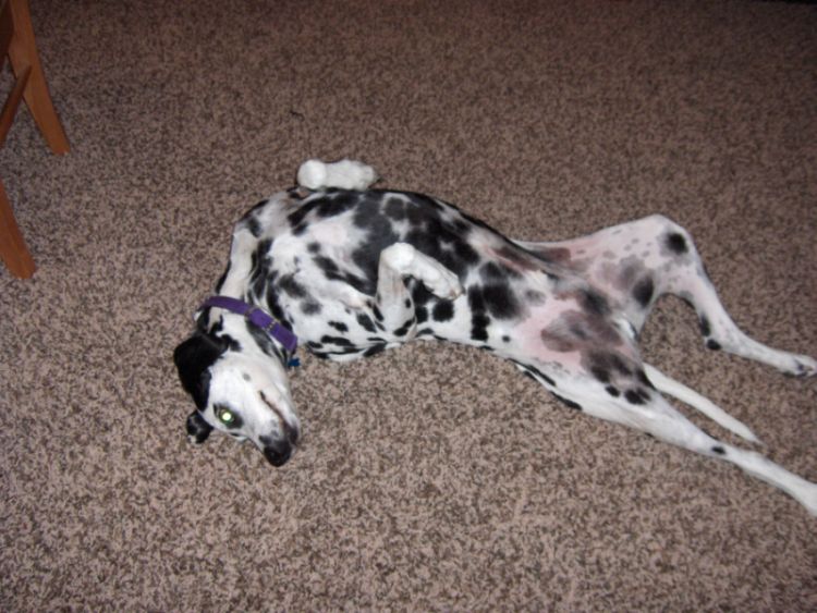 I need someone to play with!