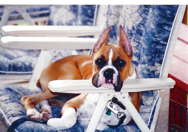 I OWN THIS CHAIR