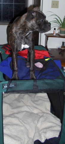 I prefer to stand ON the crate...