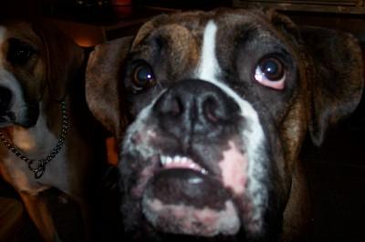 I said are you talking to me?