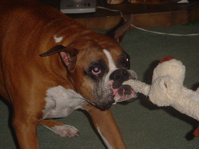I said this is mine.  Not yours.