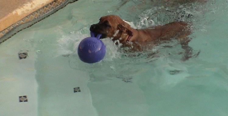 i saved my ball