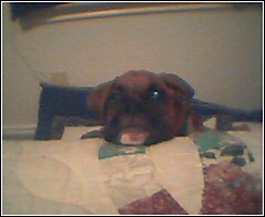 I see you!