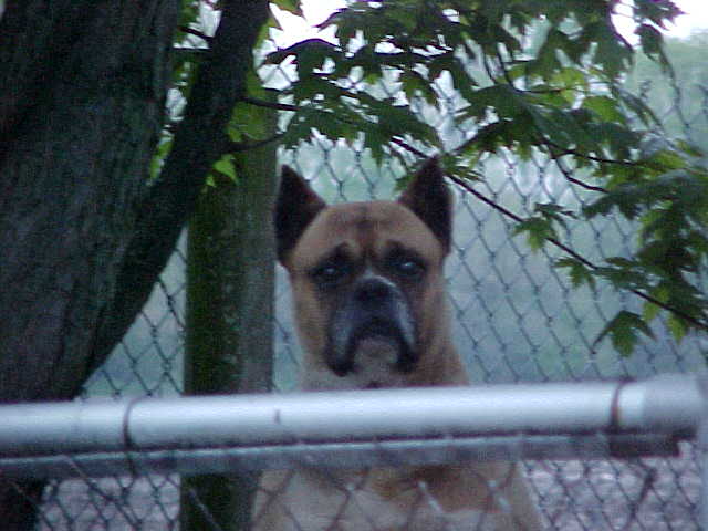 I see you