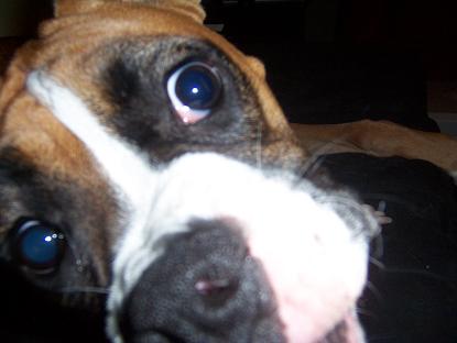 I see you!
