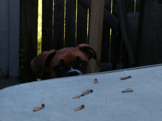 I see you.