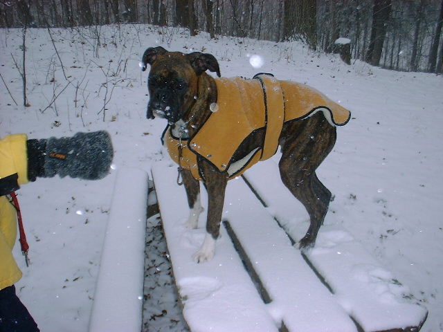 I shoud be a Model