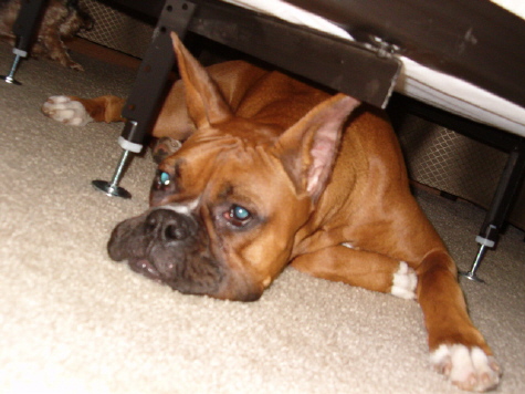 I still fit!