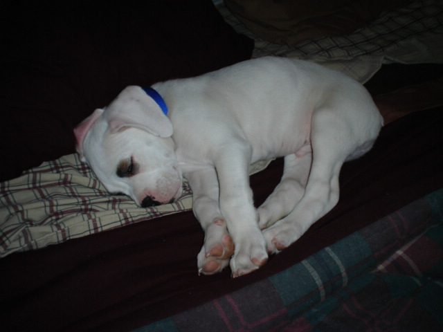 I stole your spot MOM!!!