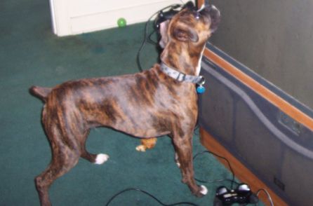 I think I can get that