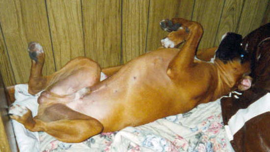 "I think I drank too much"