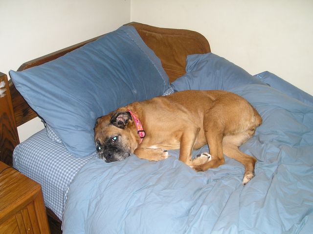 I think i found a very comfy spot here what do you think?