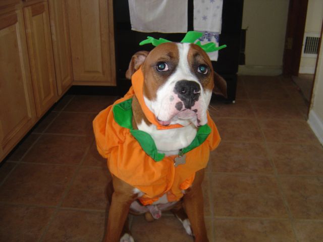 I think i look silly!! Don't you?