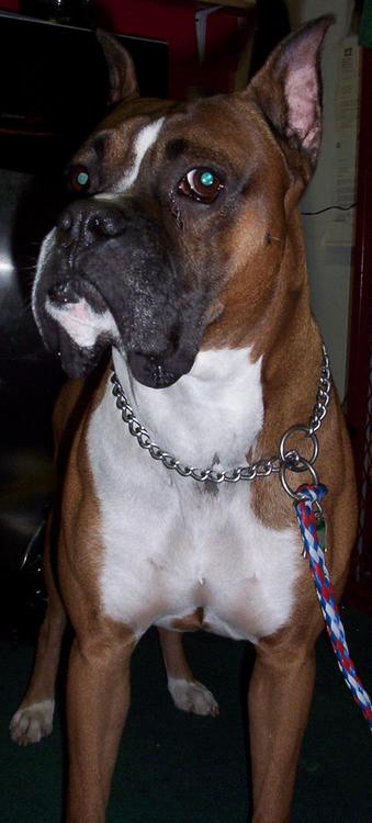 I think I'm handsome.