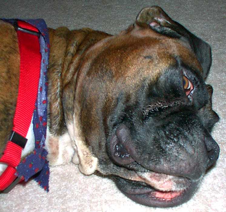 I think the flash woke him up!