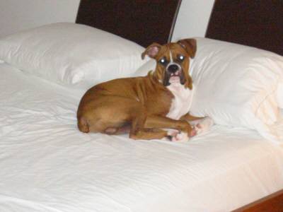 I thought you said bedtime?
