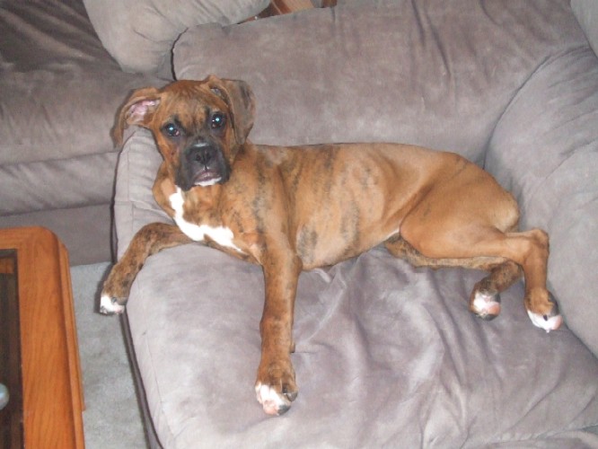I used to fit on this couch!!!