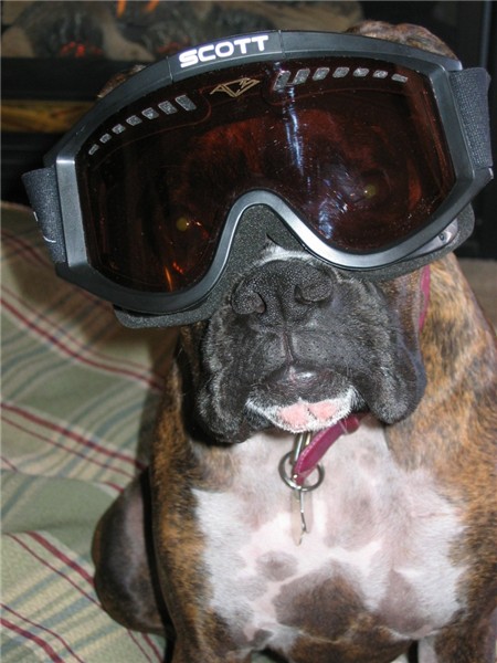 I wanna go Skiing