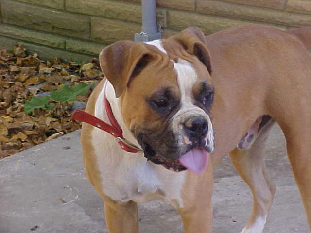 I want Dad!