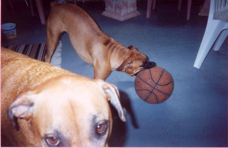 I want this ball