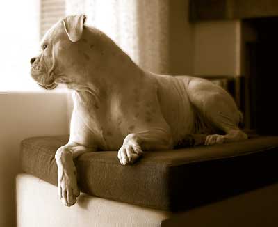 I want to go for a walk