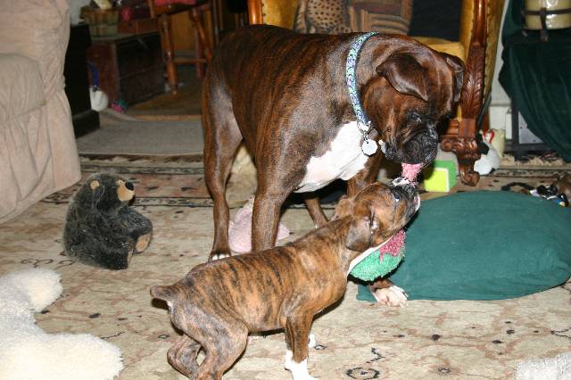 I want to PLAY!!