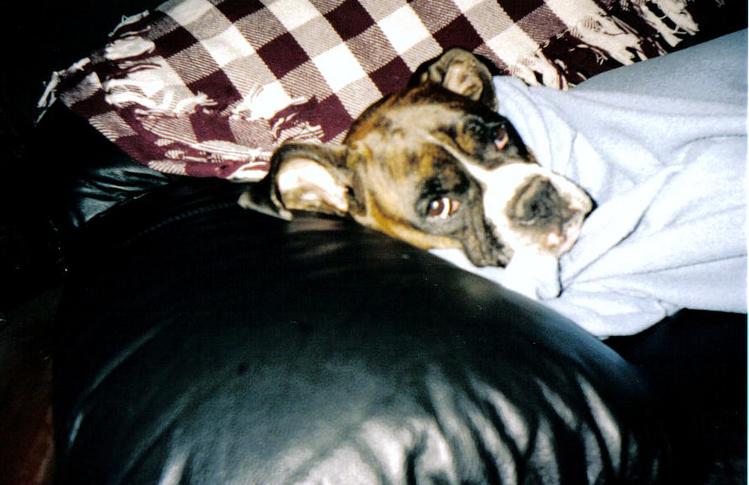 I was sleeping!