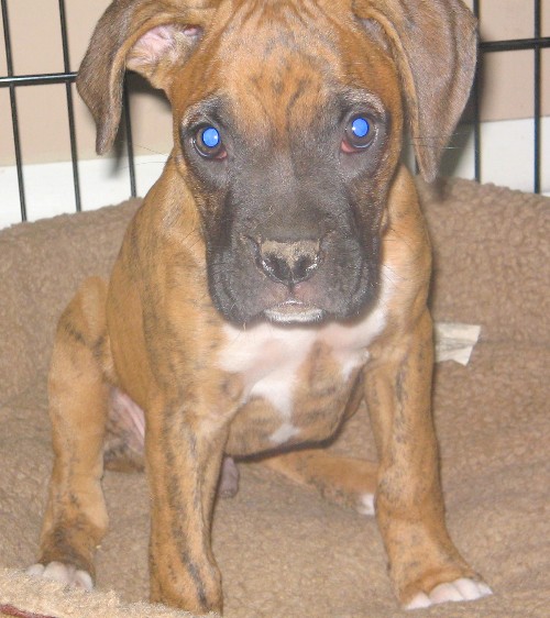 I wasn't digging holes! Really, mom!