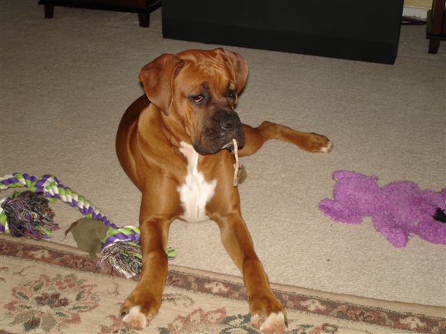 I wonder what's on the OTHER end of that string?