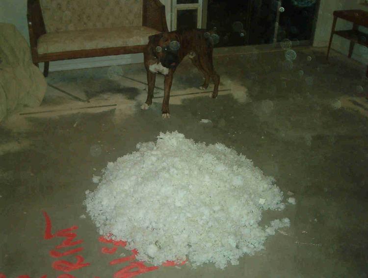 I_did_all_that