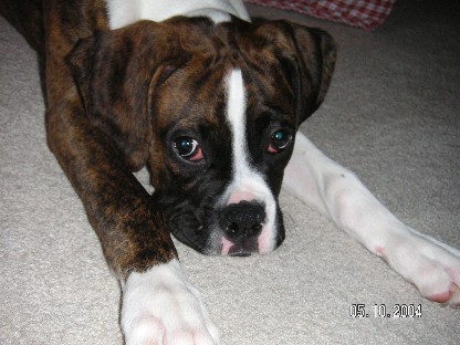 i_m_so_cute