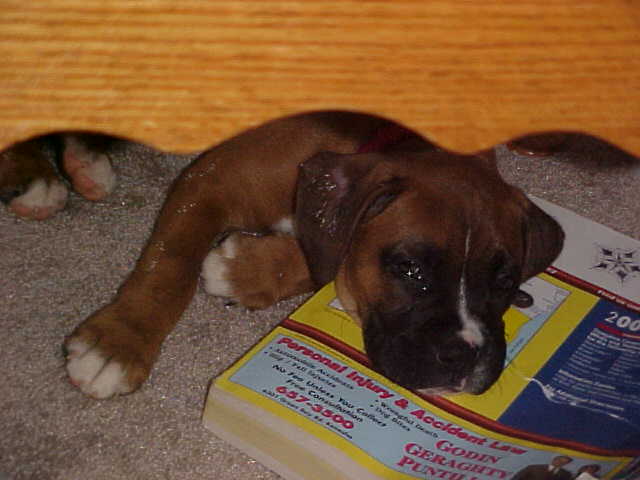 I'd phone you, but mom will only let me have the yellow pages.