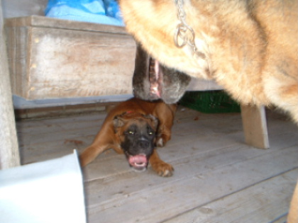 if I hide under here...you cant catch me
