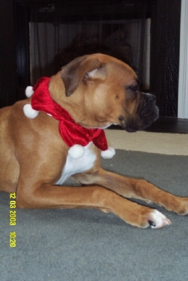 If I ignore her, she might leave me alone