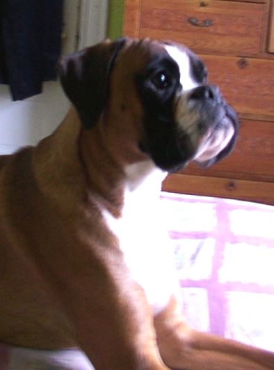 Igor 15 months